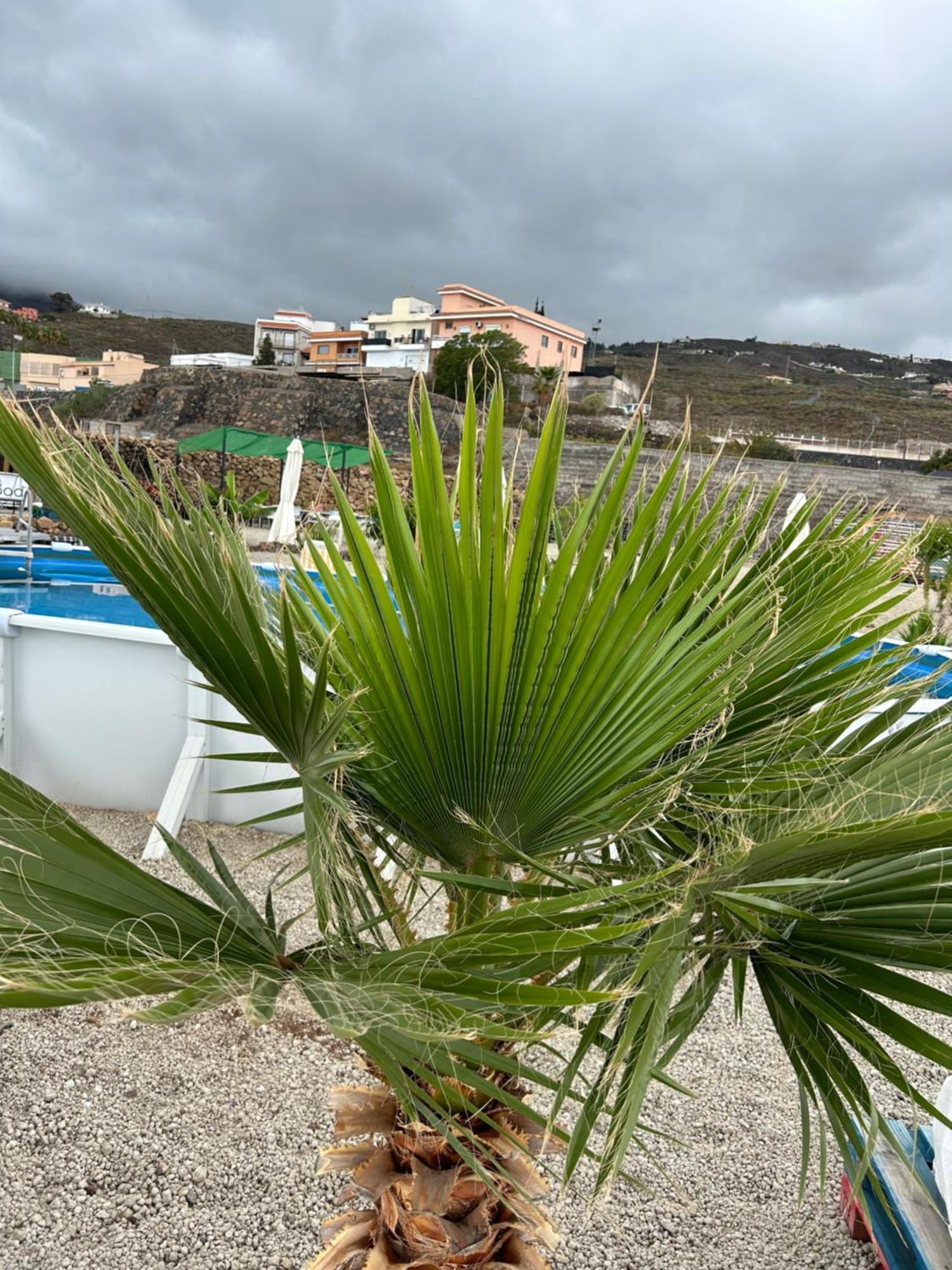 Appartamento Casa Mirador Arona  Esterno foto