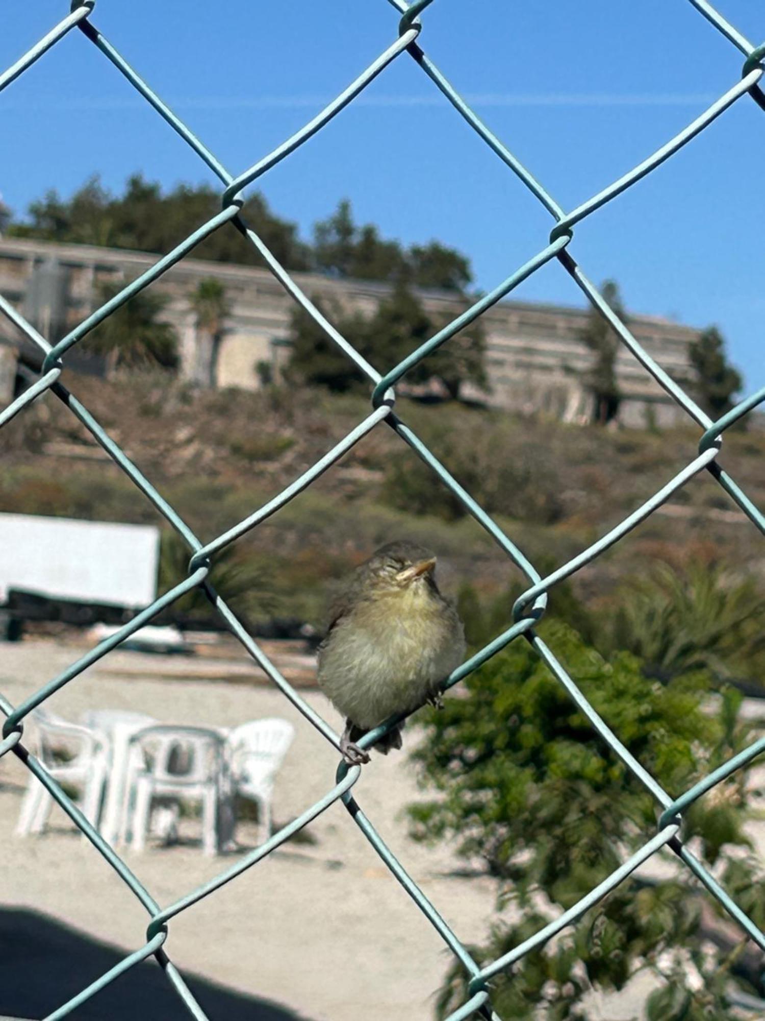 Appartamento Casa Mirador Arona  Esterno foto